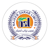 Logo-IMG